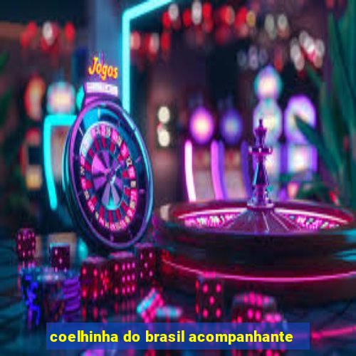 coelhinha do brasil acompanhante